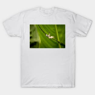 oli and butterfly T-Shirt